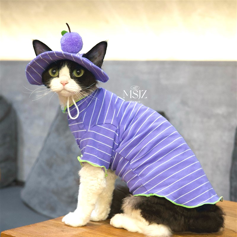 小葡萄薄棉夏日凉感空调服德文猫咪衣服阿比猫无毛猫衣服帽子套装