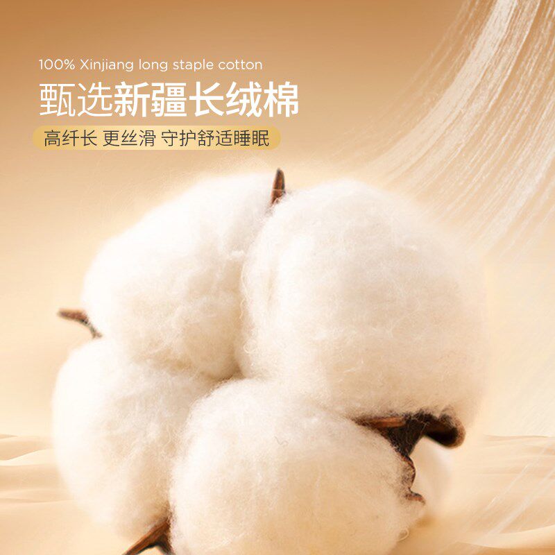 2024新款纯棉乳胶枕头专用枕套40cmx60cm轻奢高级感枕头套一对装