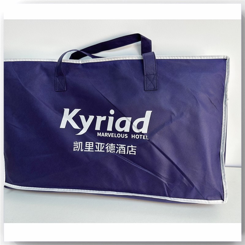 凯里亚德酒店枕头施力普凝胶记忆枕护颈助眠慢回弹高端酒店同款