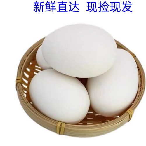 农家散养土鹅蛋新鲜生态