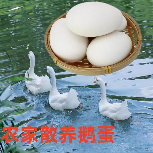 农家散养土鹅蛋大鹅蛋