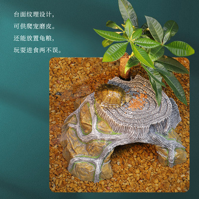 养乌龟龟缸晒台造景全套植物养龟石头爬台的假山鱼缸家用大型别墅