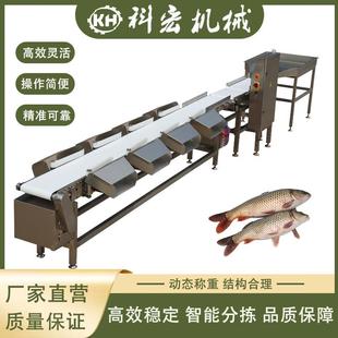 诸城重量分拣机皮带式定量称重分选机在线动态选别机效率高