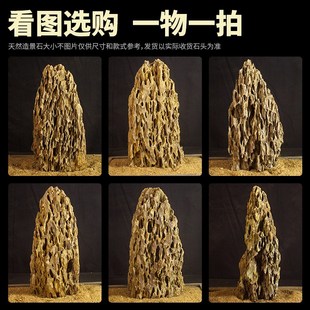 鱼缸造景大块松皮石山峰主石一物一拍水族装饰天然假山石水陆石头