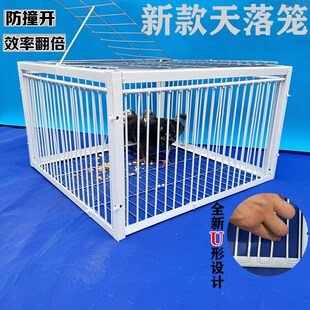 天落笼鸽子笼鸽子活络门只进不出撞门鸽笼铁笼跳笼自动门神器捕捉