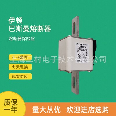 全新原装快速熔断器保险丝170M5957 170M5958 170M5959 170M5960