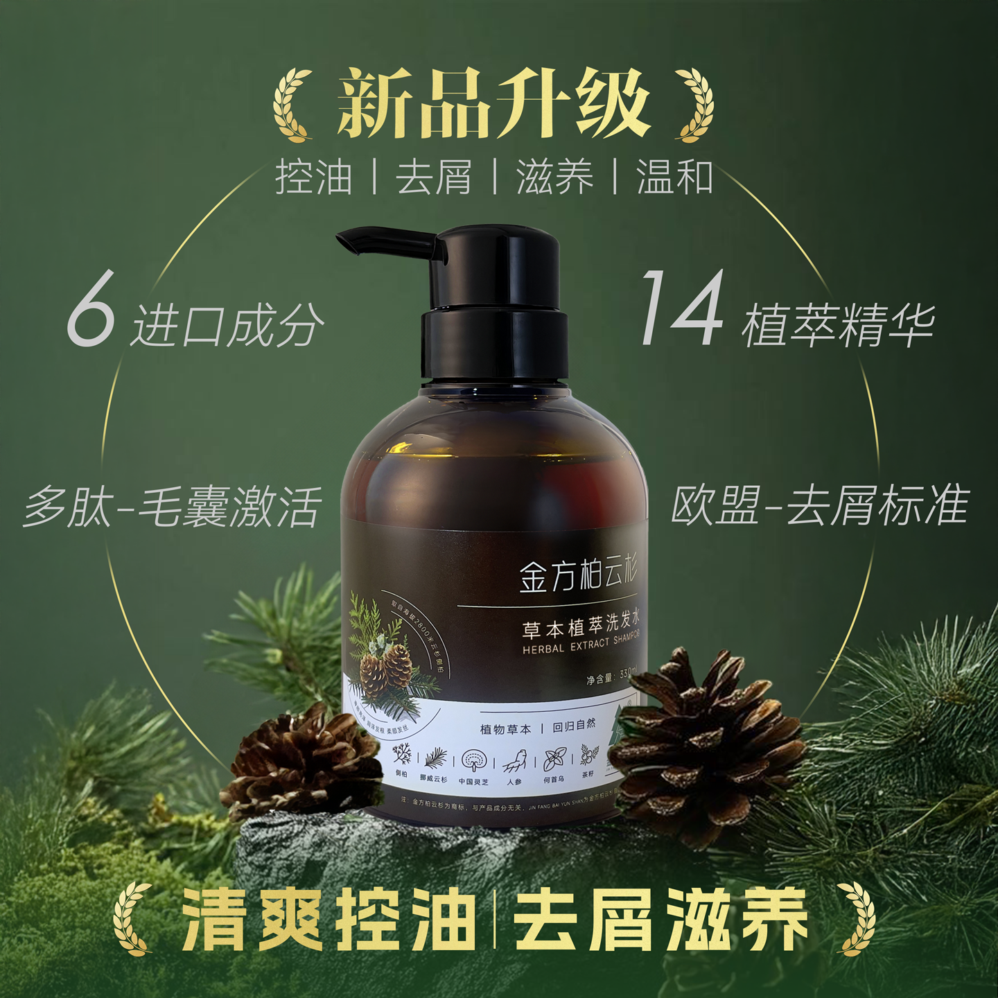 侧柏叶植物氨基酸控油去屑多肽洗发水深层滋养强韧发丝