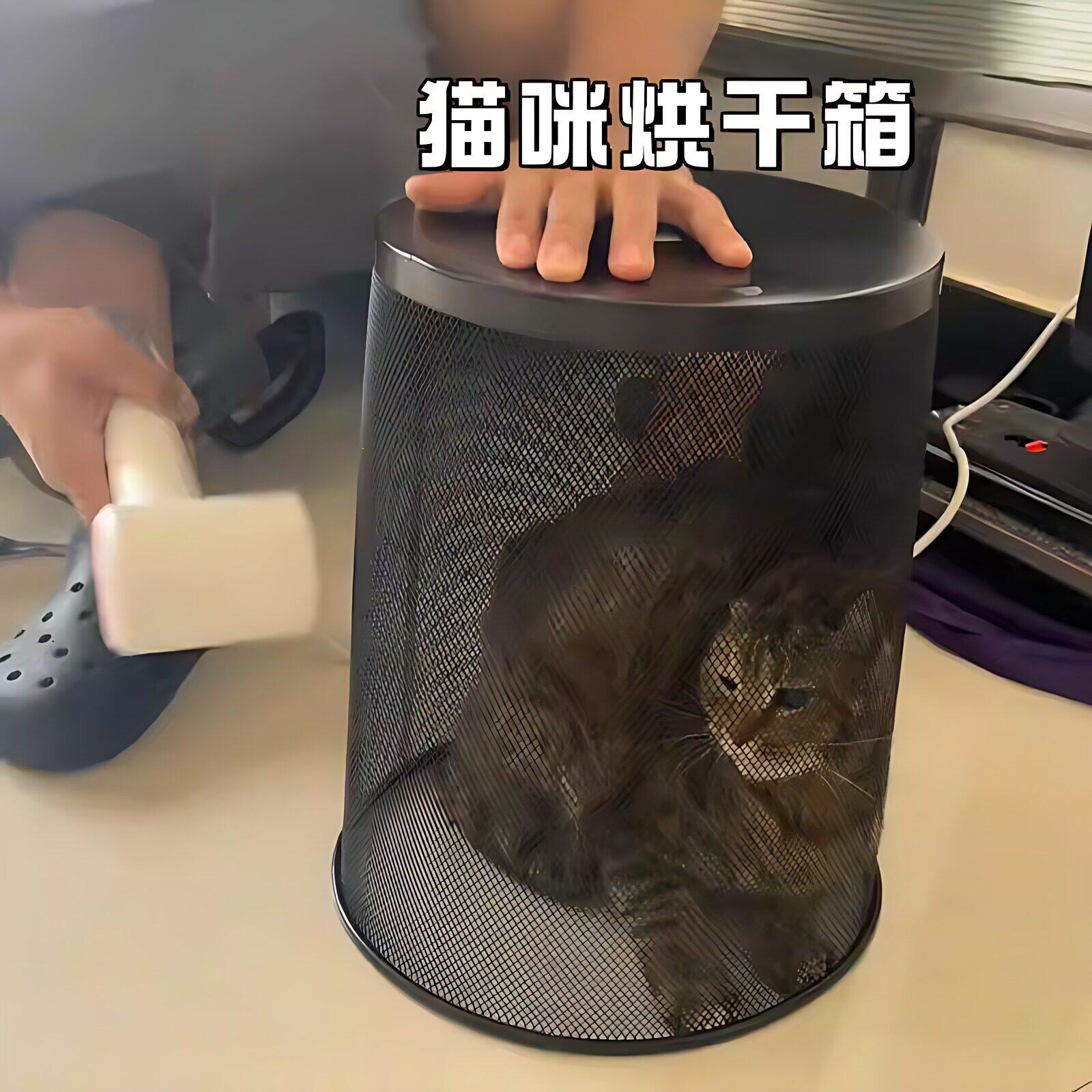 猫咪烘干箱宠物狗狗洗澡专用吹干神器小型犬吹风机吹水烘干垃圾桶