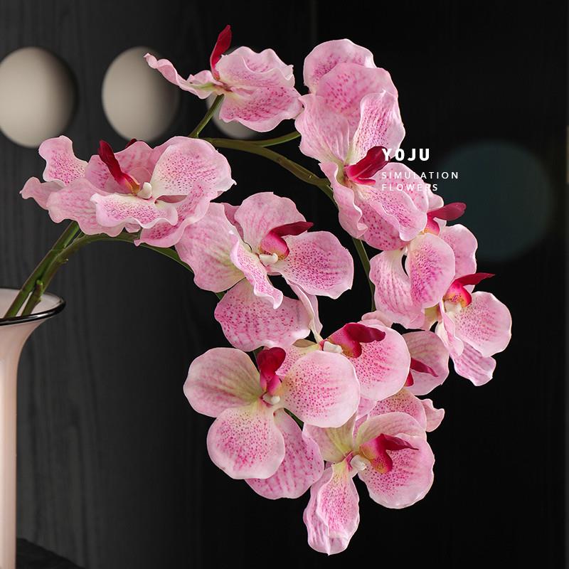 现货手感保湿PU万代兰仿真花摆设单枝逼真兰花蝴蝶兰客厅高级装饰
