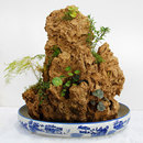 小型吸水石流水假山绿植摆件真A石头原石盆景其它园艺用品新品