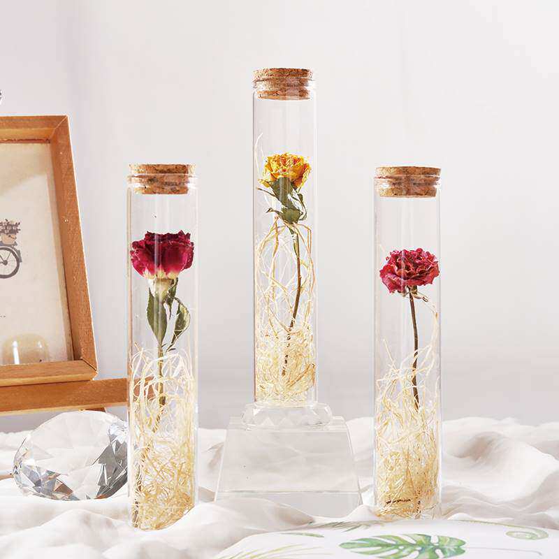一支玫瑰干花试管单支玻璃罩小花束一朵标本永生花七夕情人节礼物