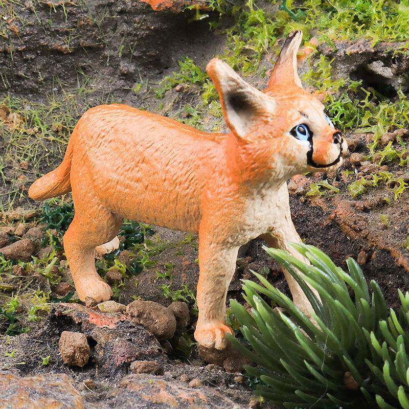 儿童认知仿真实心狞猫幼崽动物模型玩具虎猫宠物猫咪野猫科教摆件