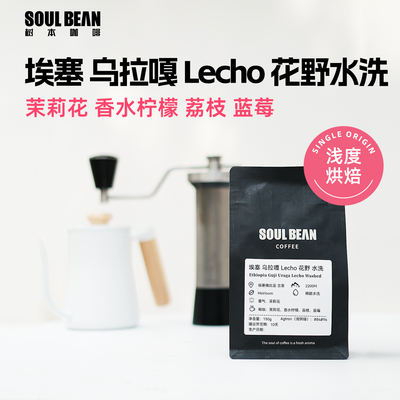 树本 埃塞2026产TOH水洗组冠军庄园 花野精品手冲咖啡豆150g