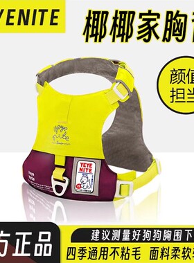 yeyenite椰椰家狗狗胸背中小型犬自动伸缩牵引绳小狗胸背嗨轻平替