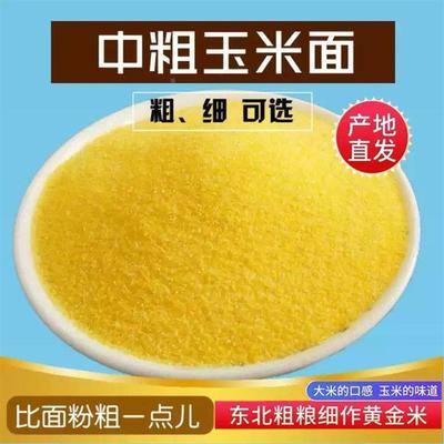 新货东北黄玉米面颗粒粗玉