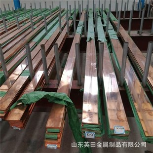 母線銅排 紫銅條 e鍍錫紫銅排 100現貨 100 供應紫銅排