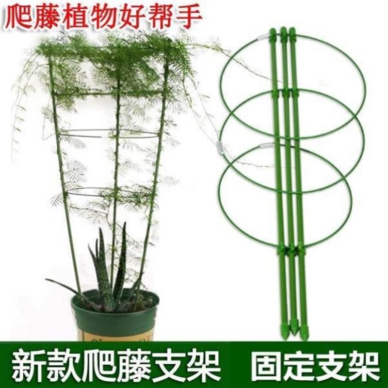 文竹支撑架爬藤j架子月季花架室内花卉植物支撑杆绿萝铁线莲攀爬