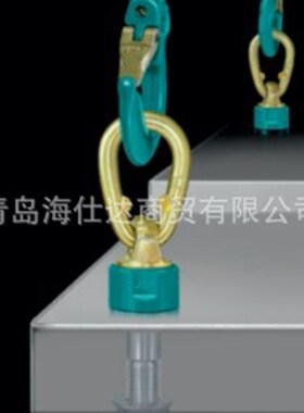 德国JDT旋转吊环 TP-F型内螺纹可旋转吊环 M12-M36 型号规格齐全
