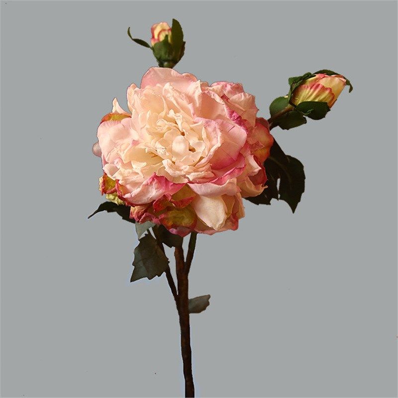 法式焦边牡丹仿真花束客厅餐桌装饰花卉假花摆设插花摆件绢花单只,鲜花速递/花卉仿真/绿植园艺,玫瑰花瓣,淘宝优惠券,粉丝福利购,淘宝优惠卷