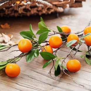 仿真橘子水果高枝枝叶桔子石榴客厅餐桌面摆件干枝假花束软装装饰