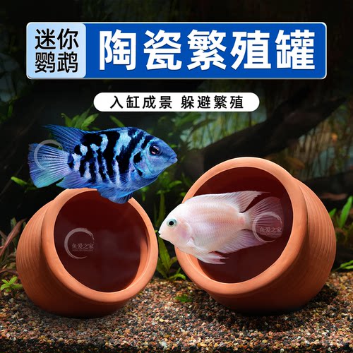 鱼缸造景紫砂迷你繁殖罐