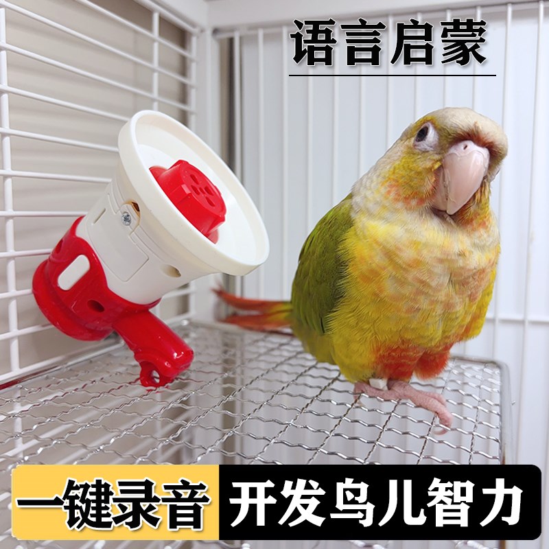 鹦鹉学说话神器训练复读录音机循环播放扩音器虎皮玄凤鸟玩具用品