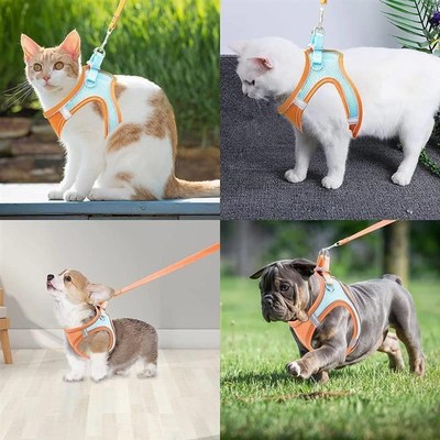 Pet Dog harness and leash set Reflective BreathablVe Harness