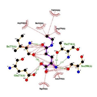 分子对接/服务顾客超900/虚拟筛选/分子动力学/蛋白对接/唯一店铺