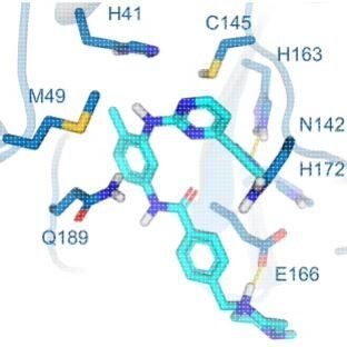 专业分子对接,蛋白蛋白对接,以及化合物设计思路指导