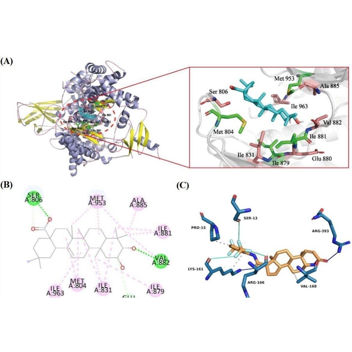 分子对接蛋白对接AlphaFold3蛋白预测互作分析,商务/设计服务,行业研究报告,淘宝优惠券,粉丝福利购,淘宝优惠卷