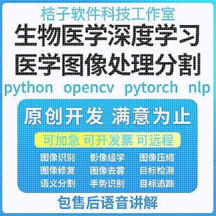 Python代編醫(yī)學圖像分割深度學習語義分割計算機視覺生成對抗網絡