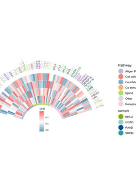 网络药理学分子对接分子动力学模拟提供数据可复刻