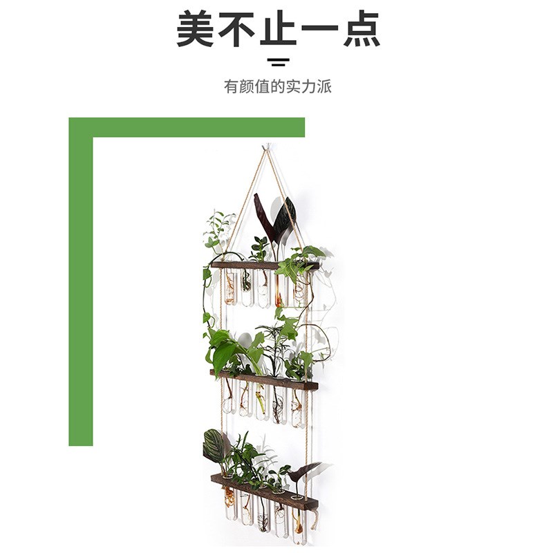 康峰挂墙玻璃水培植物试管水培试管墙面装饰实木挂件壁挂墙面花瓶