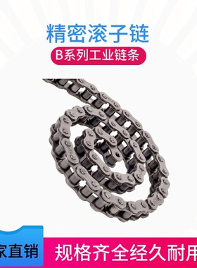 20B型号链条滚子链20B-1*48三排链条锰碳钢材质带CL接头