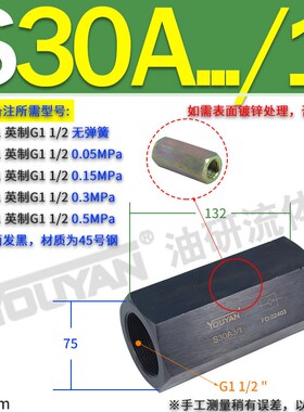 S6A11B管式S8A12液压S10A1.0/2单向阀S15A31 S20A51 S30A2 S25A31