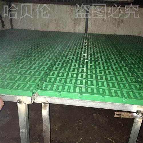 养羊专用漏粪板塑料羊床