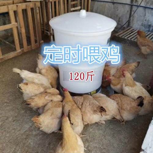 养鸡全自动定时定量家禽