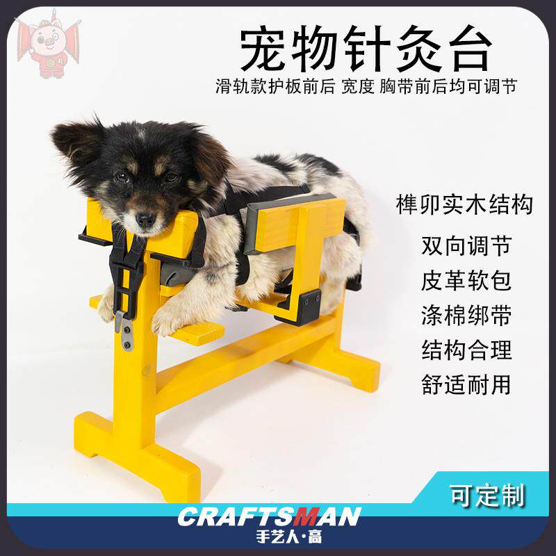 宠物针灸台保定架狗狗诊