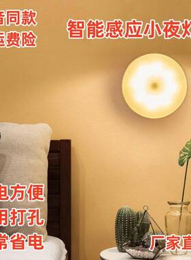 人体感应灯智能小夜灯LED声光控充电家用衣柜过道楼梯免布线起夜