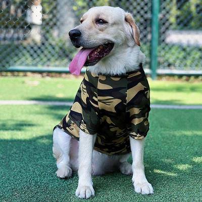 夏季宠物衣服大型犬金毛拉布拉多哈士奇边牧中型犬大狗狗衣服薄款