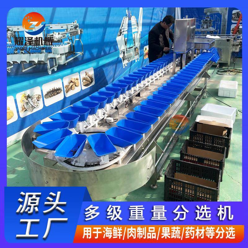 无花果重量分选机连续式全自动牛油果分拣设备水果大小选果机
