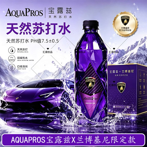 宝露兹克东天然苏打水车载饮用水