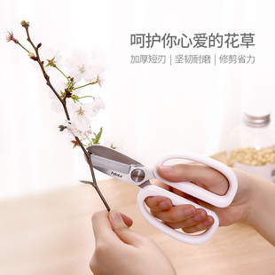 家用园艺剪刀宽头鲜剪艺道修枝剪插枝卉小树枝修剪工具
