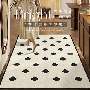 ins奶油风高级感入户门地垫家用门厅玄关N进门口地毯防滑脚垫室内