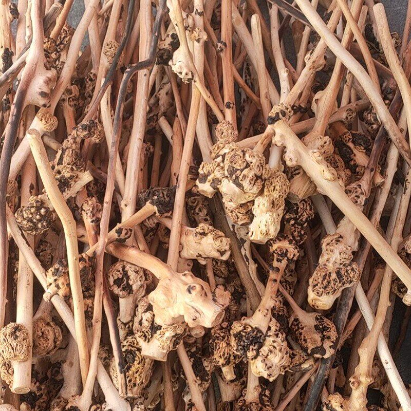 山茶木锤子山茶木烟斗花椒木锤子