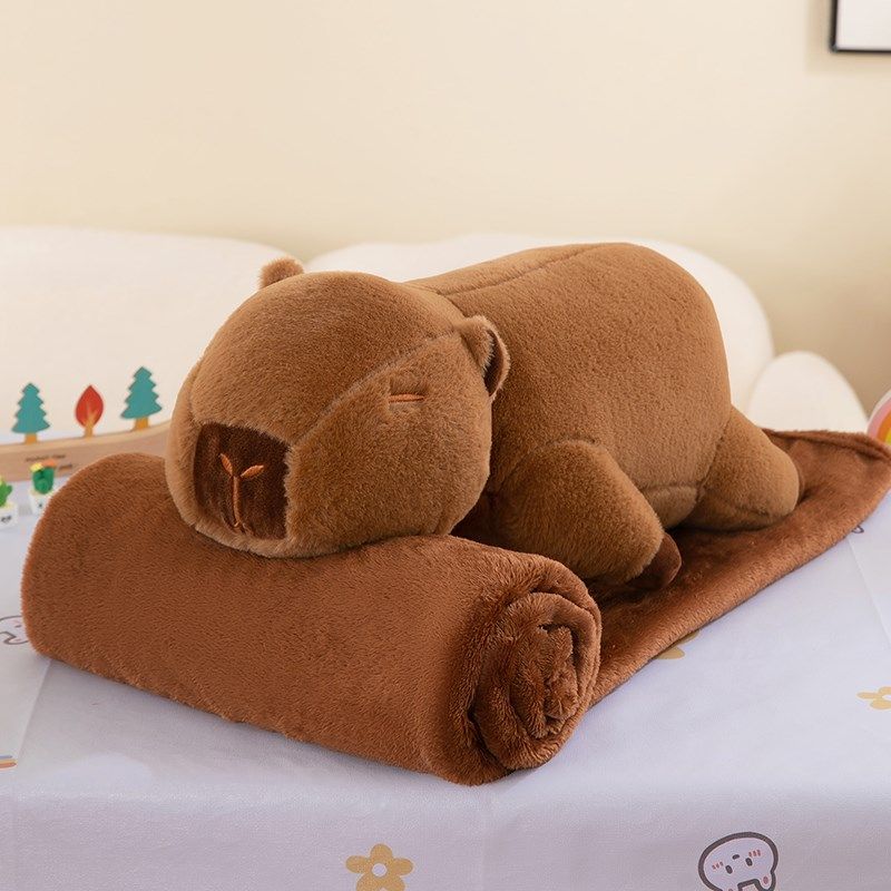 床枕被子两用办公室午睡空调被枕头汽车抱上垫枕靠靠二合一,居家布艺,抱枕被,淘宝优惠券,粉丝福利购,淘宝优惠卷