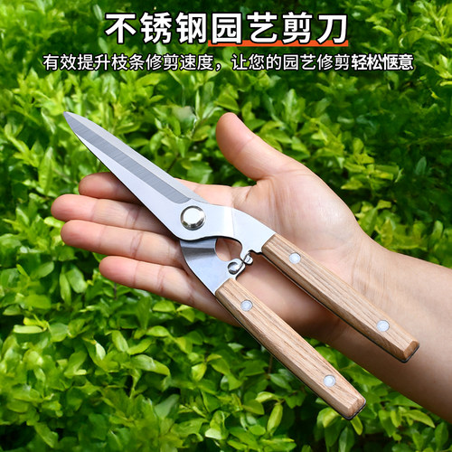 不锈钢园艺剪刀花艺师插花剪刀园艺剪刀修枝剪家用工具神器