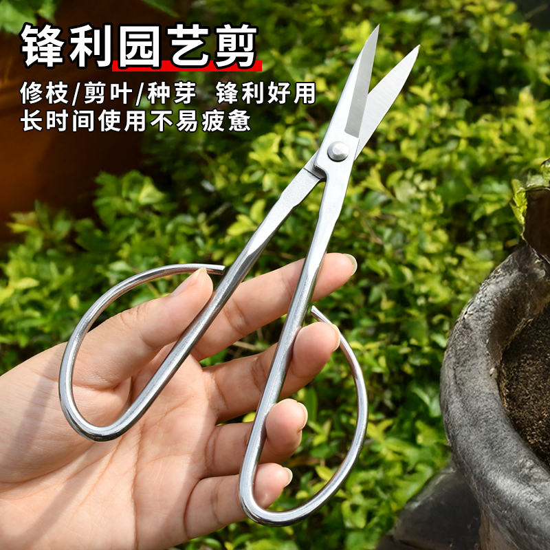 不锈钢园艺剪刀多用途嫩芽剪