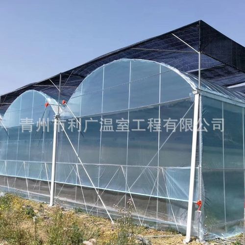 温室移动苗床 温室育苗设备 移动式温室大棚蔬菜种植钢架大棚