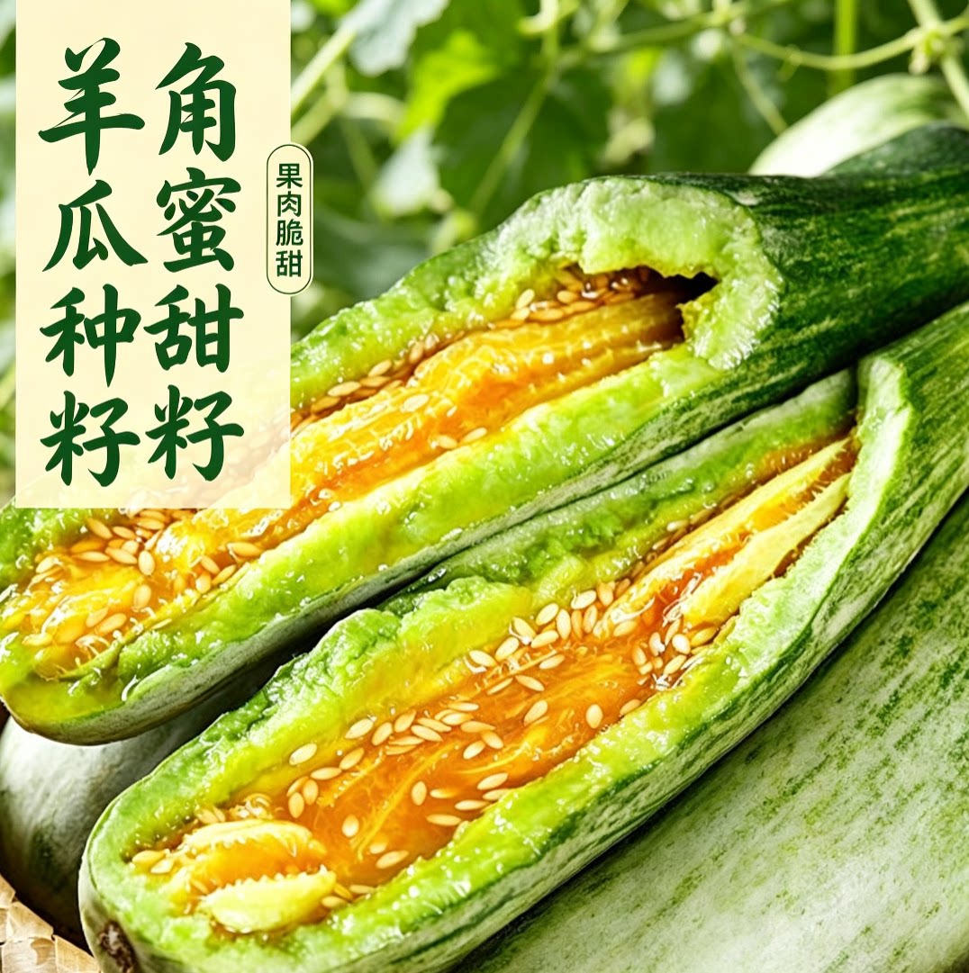 羊角蜜甜瓜种子新鲜羊角酥香瓜甜家庭园艺种子